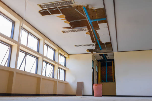 Best Flooded house restoration  in Rockmart, GA