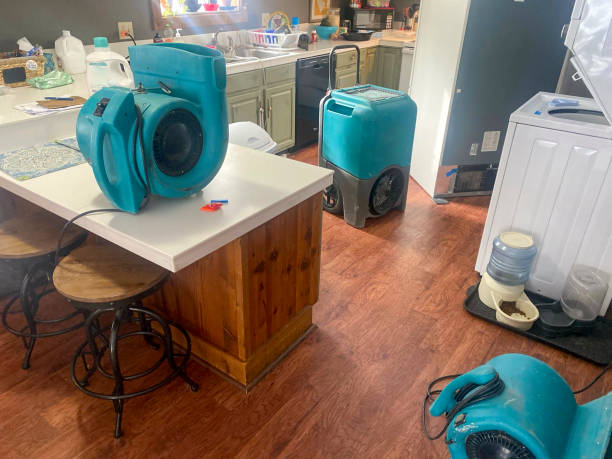 Best Mold removal after water damage  in Rockmart, GA