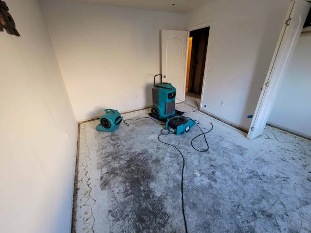 Best Mold removal after water damage  in Rockmart, GA