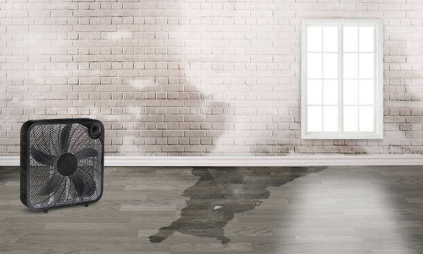 Reliable Rockmart, GA Water damage restoration Solutions
