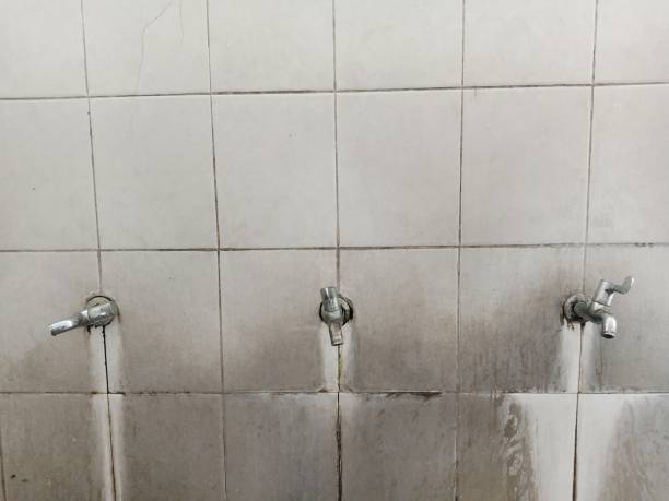 Best Water damage restoration near me  in Rockmart, GA