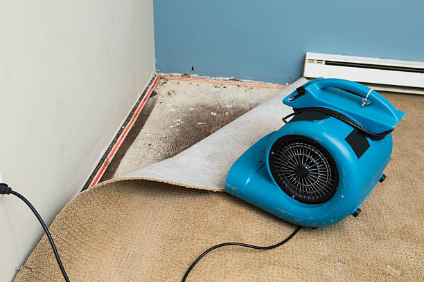  Rockmart, GA Water damage restoration Pros